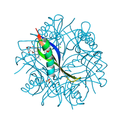 BU of 2ccb by Molmil