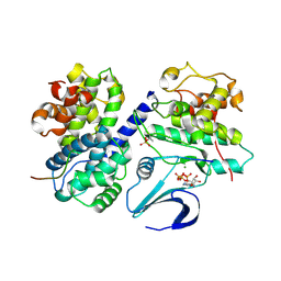 BU of 2cci by Molmil