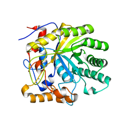 BU of 2ccr by Molmil