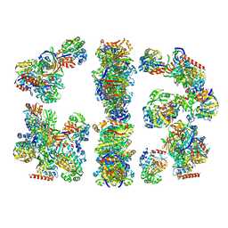 BU of 2cdh by Molmil