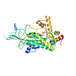 BU of 2cdm by Molmil