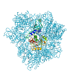 BU of 2cf4 by Molmil