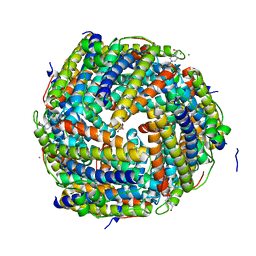 BU of 2cf7 by Molmil