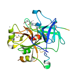 BU of 2cf9 by Molmil