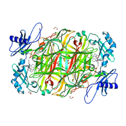 BU of 2cfd by Molmil