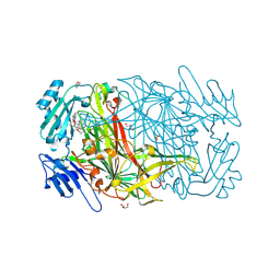 BU of 2cg1 by Molmil