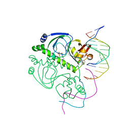 BU of 2cgp by Molmil