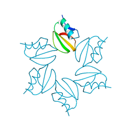 BU of 2ci2 by Molmil