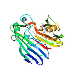 BU of 2cis by Molmil