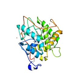 BU of 2cix by Molmil