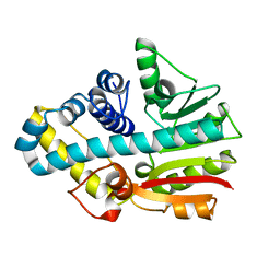 BU of 2ckd by Molmil