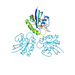 BU of 2cl0 by Molmil