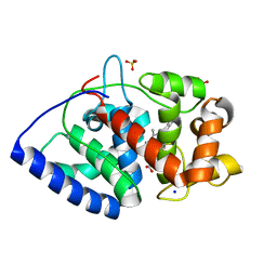 BU of 2cl4 by Molmil