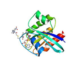 BU of 2cl6 by Molmil