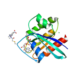 BU of 2cl7 by Molmil