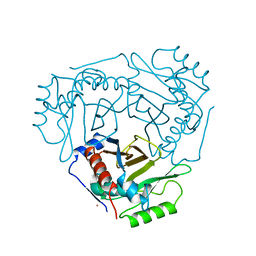 BU of 2cla by Molmil