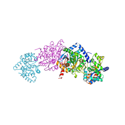 BU of 2clh by Molmil