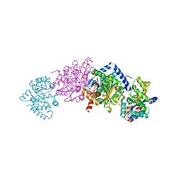 BU of 2clm by Molmil