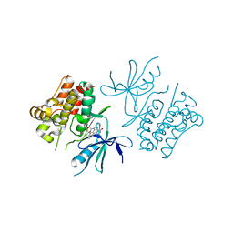 BU of 2clq by Molmil