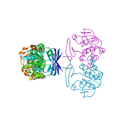 BU of 2cmh by Molmil