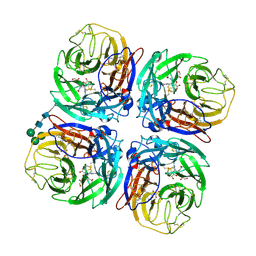 BU of 2cml by Molmil