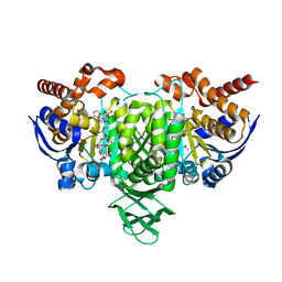 AU of 2cmv by Molmil