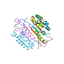 BU of 2cnl by Molmil