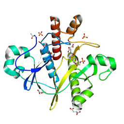 BU of 2cnv by Molmil