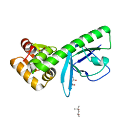 AU of 2coh by Molmil