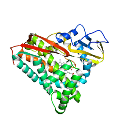 BU of 2cp4 by Molmil