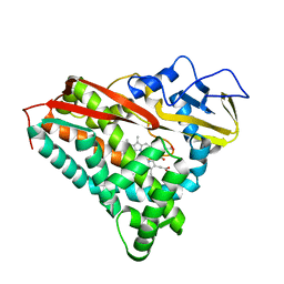 BU of 2cpp by Molmil