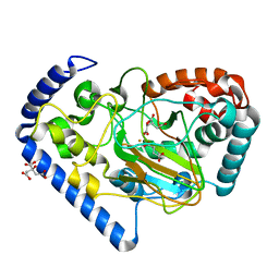 BU of 2csg by Molmil