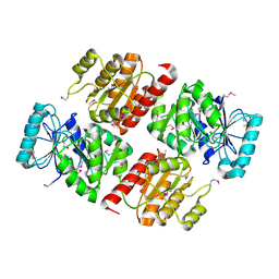 BU of 2csu by Molmil