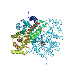 BU of 2cts by Molmil