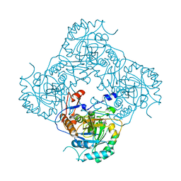 BU of 2cu0 by Molmil