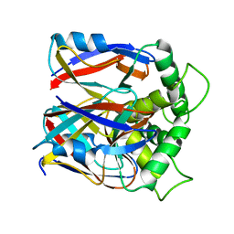 BU of 2cu5 by Molmil