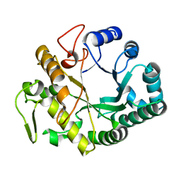 BU of 2cyg by Molmil