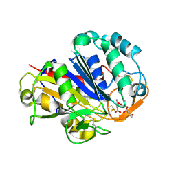 BU of 2d81 by Molmil