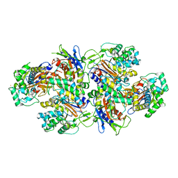 AU of 2d83 by Molmil