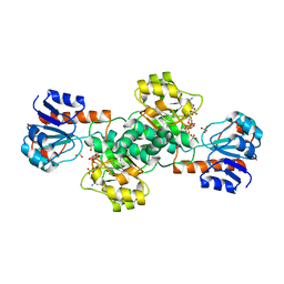 BU of 2dbr by Molmil