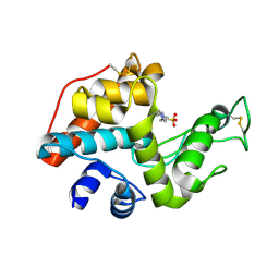 BU of 2dbt by Molmil