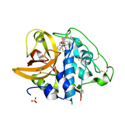 BU of 2dcc by Molmil