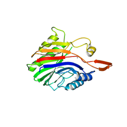 BU of 2ddr by Molmil