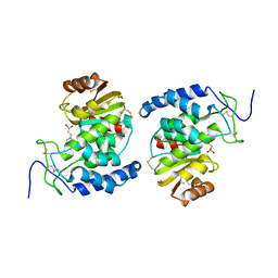 AU of 2df1 by Molmil