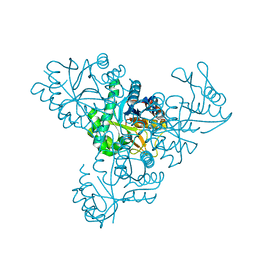 BU of 2dfa by Molmil