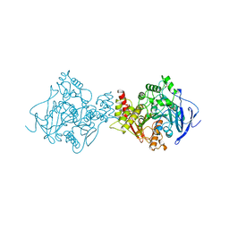 BU of 2dfp by Molmil