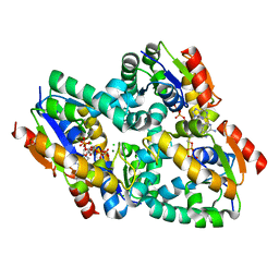 BU of 2dft by Molmil