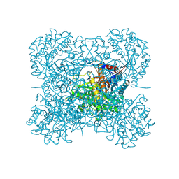 BU of 2dga by Molmil