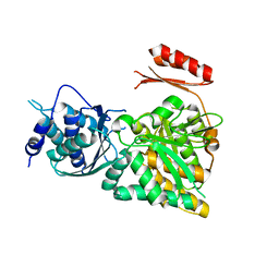 BU of 2dka by Molmil