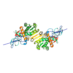 BU of 2dm6 by Molmil